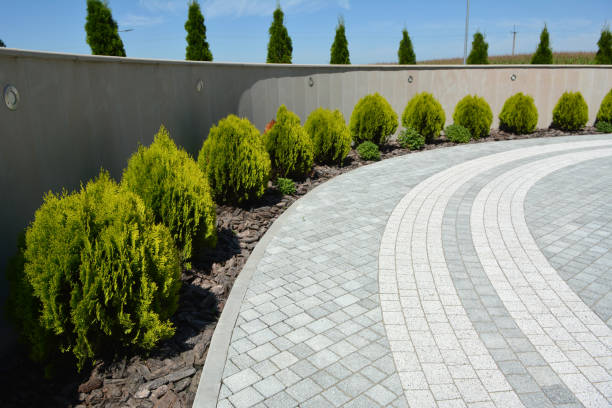 Best Driveway Paver Repair  in Gastonville, PA